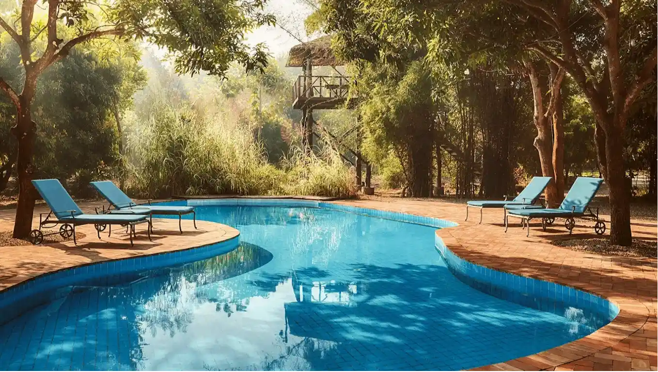 The swimming pool